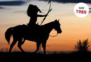 Indianer auf Pferd im Sonnenuntergang